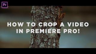 HOW TO CROP A VIDEO/GET CINEMATIC LOOK IN PREMIERE PRO 2021!