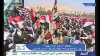 Pro Assad Rally - 04b - Damscus, 26-10-2011