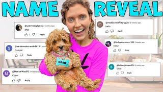 New Puppy NAME REVEAL! Will HE LIKE HIS NAME...