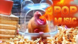 Hamster Vlog Музыкальное видео Nonstop Medley [11 популярных поп-песен] Golden Hamster Daily Life