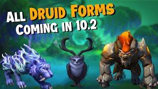 ALL Possible Druid Forms coming in Patch 10.2 (Season 3) - Wow Dragonflight