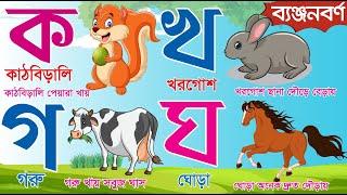 ব্যঞ্জনবর্ণ ক খ গ ঘ | Bangla Banjonborno | क अ ग ह | Bengali Alphabet | ছন্দে ছন্দে ব্যঞ্জনবর্ণ শিখি