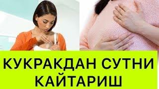 Факат аёлларга таалукли! Кукракдаги сутни уй шароитида кайтариш