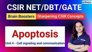 Caspases & Apoptosis Simplified | Crack CSIR, DBT, IIT JAM & GATE Exams