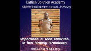 IMPORTANCE OF FEED ADDITIVES IN FISH FEED FORMULATION