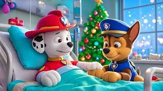 Paw Patrol Ultimate Rescue | Marshall GOT SICK? Please Don't Give Up!!Verry Funny Story - Rainbow 3