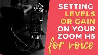 How to set the Gain / Levels on your Zoom H5 for Voice Recording