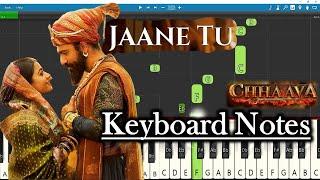 Jaane Tu Song Keyboard Notes |  A. R. Rahman | Vicky Kaushal | Chhaava