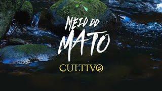 Cultivo - Meio do Mato (Vídeo Oficial)