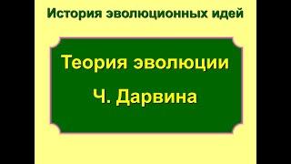 Теория эволюции Ч. Дарвина