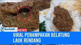 Viral penampakan belatung lauk rendang