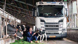 De boer op met een RMO tankwagen om rauwe melk op te halen! 