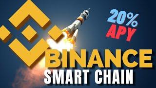 Binance Smart Chain | EARN STAKING REWARDS | Validators