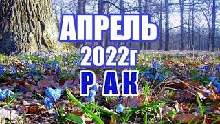 РАК . АПРЕЛЬ 2022г. Таро прогноз, гороскоп на месяц.