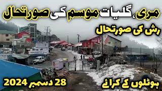 Murree snowfall today | murree nathiagali snowfall | #murree snow season 2024 | murree live today