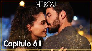 Hercai - Capítulo 61