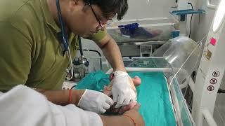 baby catheter insert