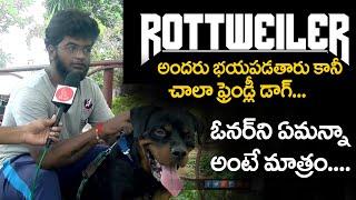 రోట్వేలేర్ డాగ్ పెంచాలనుకుంటున్నారా? | Advantages of Rottweiler in Telugu | Eagle Media Works