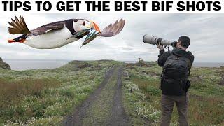 Puffin Photography on Scotland's Isle of May