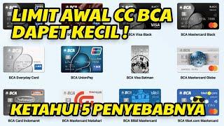 BERAPA LIMIT AWAL YANG DIBERIKAN OLEH KARTU KREDIT BCA ? KECIL BREY Yuk kita review