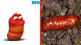 Larva Real Life Characters SMS TV