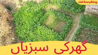 GHAR Ki SABZIAN  |  Home Grown Vegs | By VISIT EVERYTHING