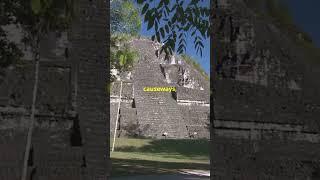 Ancient Cities Found in the Amazon: Unbelievable Discovery! #shorts