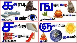 உயிர்மெய் எழுத்துக்கள் (UyirMei Ezhuthukkal)|Tamil Letters| க ங ச ஞ ட  @PRINIT1419