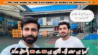 What kind of jobs do you have to do in factories in Korea? / کیا کوریا میں کام مشکل ہوتا ہے ؟