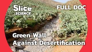 Fighting Sahara Desertification: The Green Wall Project | SLICE SCIENCE | FULL DOC