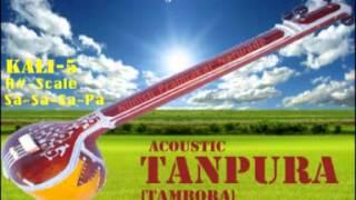 TANPURA [KALI-5] SCALE-A# PLAYED BY SHUBHANGI NARWADE