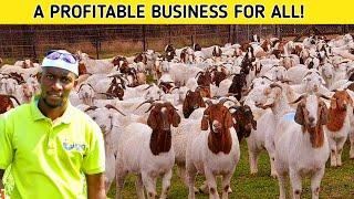 Why Everyone Must START a GOAT Farming Business | 2023