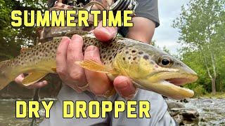 Successful Angler THE DRY DROPPER RIG | Fly Fishing for Wild Brown Trout