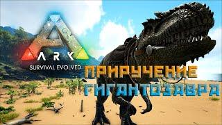 Гигантозавр в Арк| Приручение Гигантозавра в Ark| ARK Survival Evolved