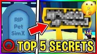 TOP 5 PET SIMULATOR X SECRETS Roblox Pet Simulator X