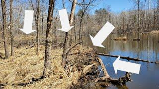 I Trapped a MASSIVE Dam With Footholds (Huge Beavers)