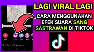 cara menggunakan efek suara sang sastrawan di tiktok