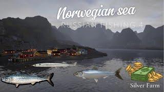 Russian Fishing 4  Norwegian Sea | Spot  #23 Silver Farm