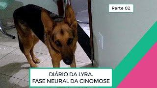 CINOMOSE FASE NEURAL | Parte 02 | DIÁRIO DA LYRA | PARALISIA | CONVULSÕES | Vovó Joaninha Külh