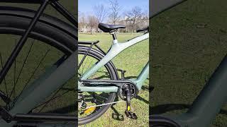  ENGWE N1 Pro — Sleek & Modern E-Bike Design!