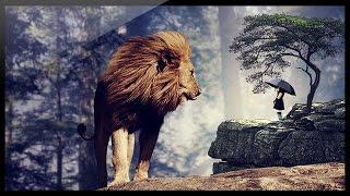 Photoshop Manipulation Tutorial: The Little Girl and a Lion