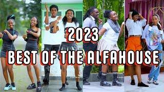  2023 The AlfaHouse  Tiktok Dance Challenge Compilation #theealfahouse #nasieku #klaus