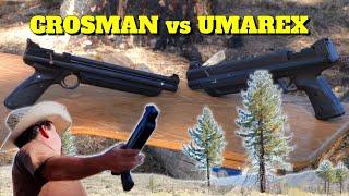 UMAREX STRIKE POINT vs CROSMAN 1322 SHOOTOUT REVIEW