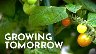 TRAILER - "Growing Tomorrow"