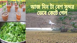 আজ সারা দিনে কি কি করলাম?||Daily life bangla vlog||IMSIM VLOG||