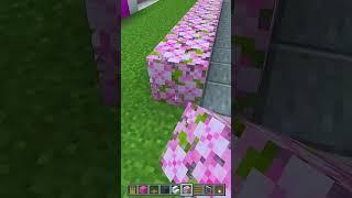 This Minecraft Trick Will Blow Your Mind Mughal Gamerz