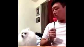 BEST 9GAG Video of July 2015 - NEW July 9GAG Compilation Part 1