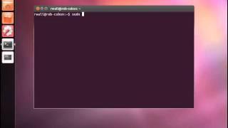 Ubuntu software installation from command line using apt-get