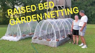 Adding Hoops and Garden Netting. Pesky Cabbage Worms.