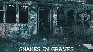 Metric & Reapz - Snakes in Graves - Music Video  (2017)